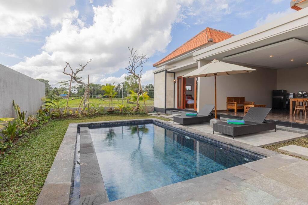 New Private Pool Villa - Villa Dhea Ubud Bagian luar foto
